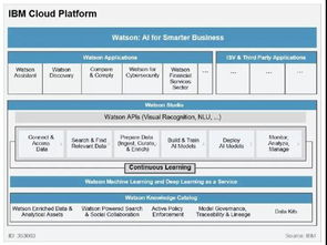 全球科技巨头云AI服务与基础软件开发格局 Gartner、亚马逊、谷歌、IBM与微软