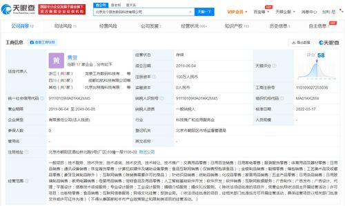 人工智能基础软件开发 构建智能未来的技术基石