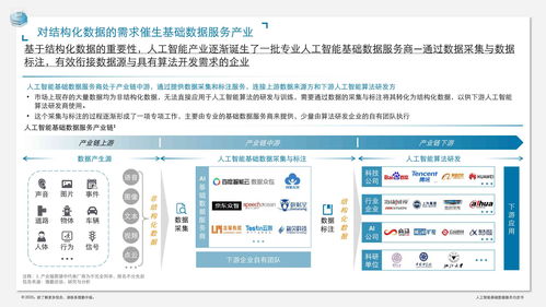人工智能基础数据服务与软件开发协同驱动智能变革